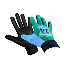 Image result for St Joseph`s G F C