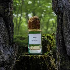 Attēlu rezultāti vaicājumam “Cerasus leaf”