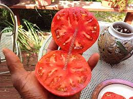 Afbeeldingsresultaat voor kosmonaut volkov 68D tomato