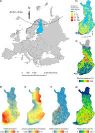 Attēlu rezultāti vaicājumam “Hamatocaulis lapponicus”