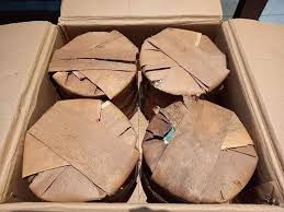 Image result for 2011早春