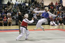 Image result for Dujon Tae Kwon Do