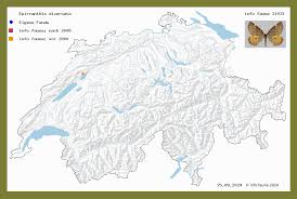 Attēlu rezultāti vaicājumam “Epirranthis diversata”