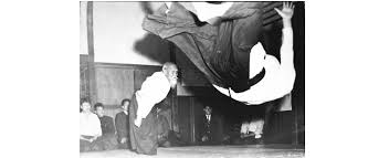 Image result for Aikido - Shobu UK (Newton in furness)