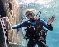Image result for Dive Crew Scuba Diving