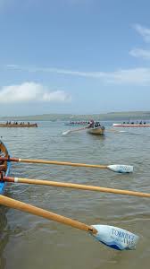 Image result for Appledore Pilot Gig Club