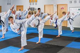 Image result for Sokudo Martial Arts Club