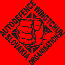 Image result for Chorley Autodefence Wing Tchun