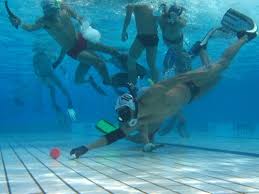 Image result for Brighton Octopush Club