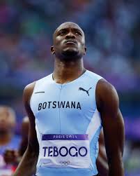 Image result for Tobogo