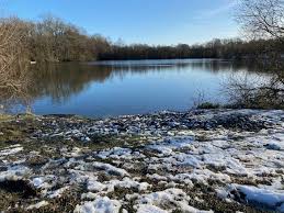 Image result for Reigate & District Angling Association