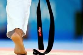 Image result for David Fuller Karate