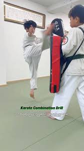 Image result for Newport Kyokushin Karate Club
