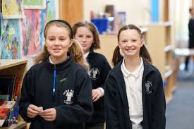 Image result for Bere Regis Cricket Club