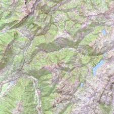 Image result for Squalius cephalus cavedanus