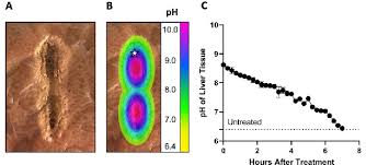 IRE 0.0 IRE 7.5에 대한 이미지 검색결과