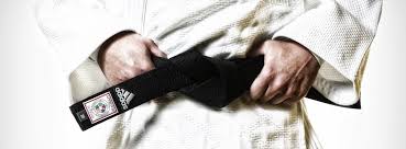 Image result for Ipswich Judo Club