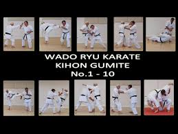 Image result for Karate Wado Kai