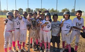 Image result for Empire Bowls Club Limited