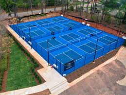 Image result for North Logic Badminton Club