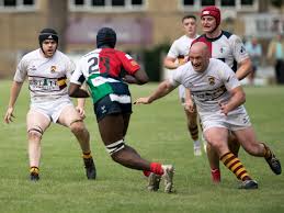Image result for Huddersfield Sharks Rugby League Football Club