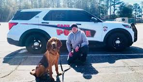 Image result for Carlisle BloodHounds