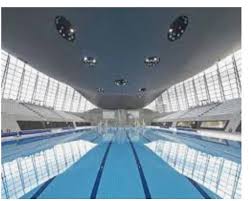 Image result for Mid Beds Swim Squad
