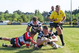 Image result for Stirling Wolves