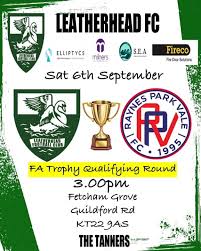 Image result for Leatherhead Football Club