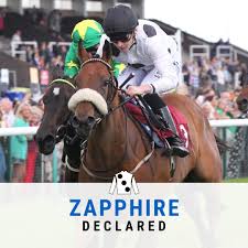 Image result for Elite Racing Club