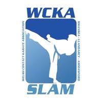 Image result for Swansea Taekwondo Club