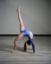 Image result for Sudbury Gymnastics Club