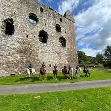 Image result for Scottish Equi Complex