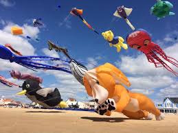 Image result for Kite Ireland