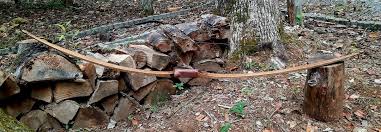 Image result for Oak-Wood Bowmen