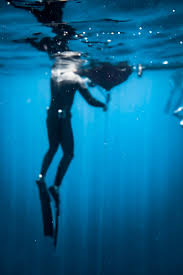 Image result for Blue Water Freediving School