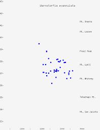 Attēlu rezultāti vaicājumam “Warnstorfia exannulata”