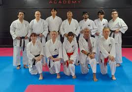 Image result for Martial Arts London