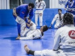 Image result for Brazilian-martial arts