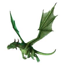 Image result for HAINAULT & CHIGWELL CHANGQUAN FLYING DRAGON
