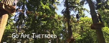 Image result for Go Ape! Thetford