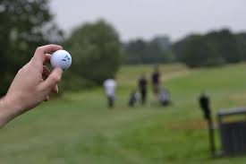 Image result for Sean Treacy`s Hurling Club