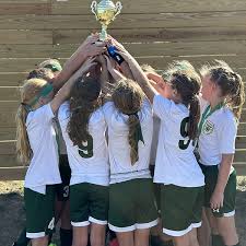 Image result for Arsenal Bowls Club