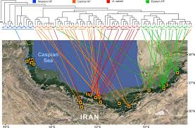 Image result for pfanzelt tehron