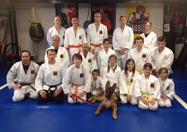 Image result for Roswell Martial Arts KA