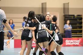 Image result for Basingstoke Demons Floorball Club