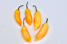 Afbeeldingsresultaat voor peach habanero hot pepper
