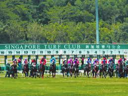 Image result for The Horse Racing Club