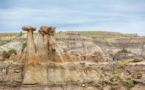 Attēlu rezultāti vaicājumam “Tubifera montana”