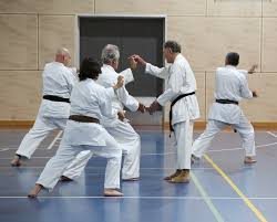 Image result for Ipswich Shotokan Karate Club